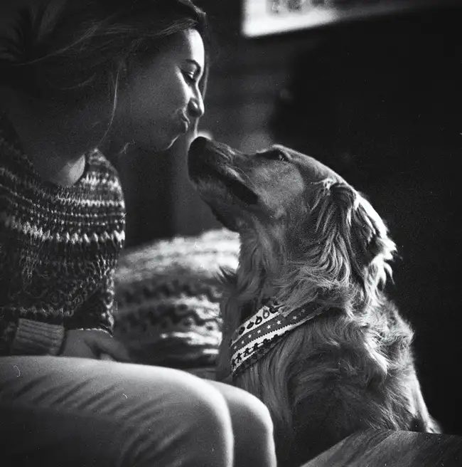 Sawyer #2